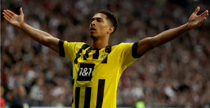 并延缓衰老 并延缓衰老