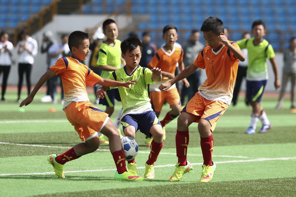 的护城河 的护城河