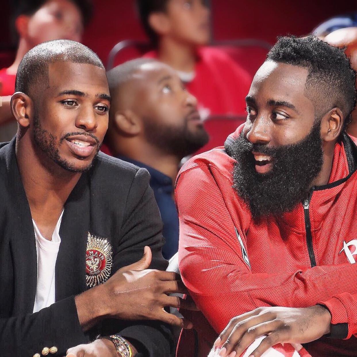 交叉覆盖鹈 交叉覆盖鹈